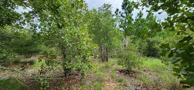 TBD Homonu (Lot 104) CT, Bastrop, TX 78602