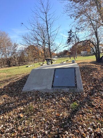 8780 Lawrence 2010, Miller, MO 65707