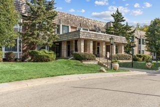 2300 Windsor Mall Court 2E, Park Ridge, IL 60068