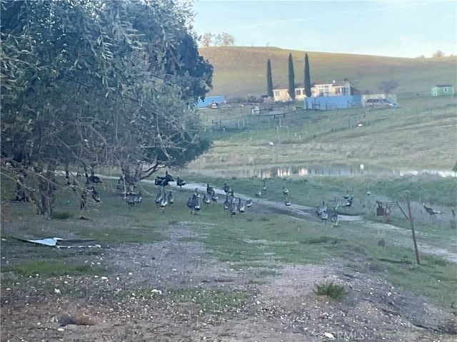 76671 Hesperia, Bradley, CA 93426