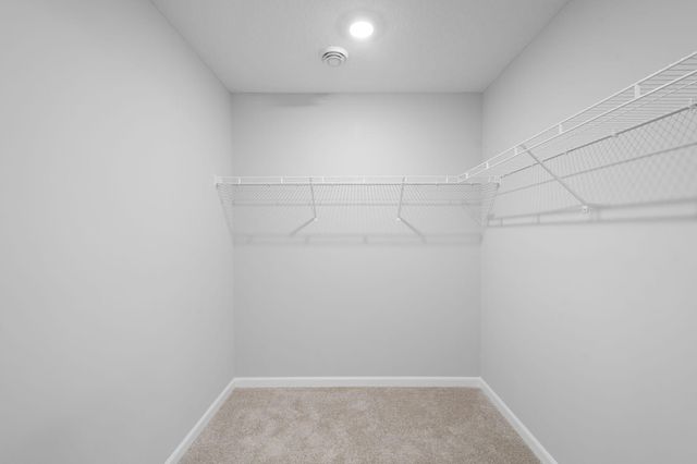 10316 Birchwood Circle, Victoria, MN 55318