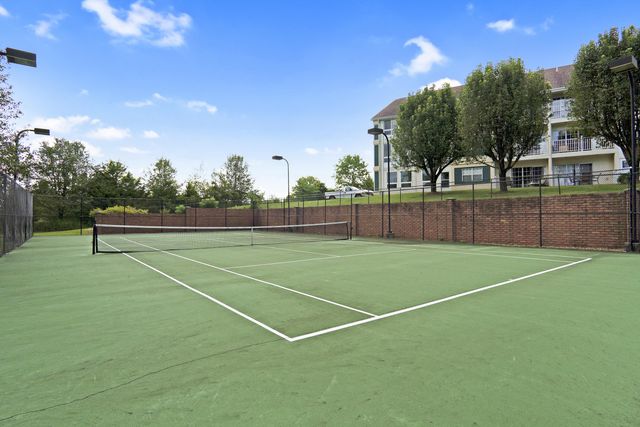 500 Spring Creek Road 8, Branson, MO 65616