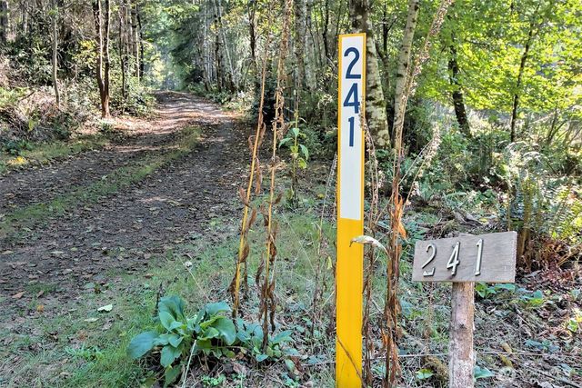 241 E Ritz Drive, Shelton, WA 98584