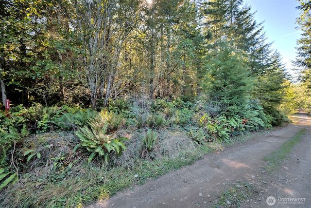 241 E Ritz Drive, Shelton, WA 98584