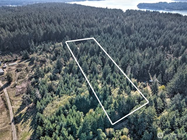 241 E Ritz Drive, Shelton, WA 98584