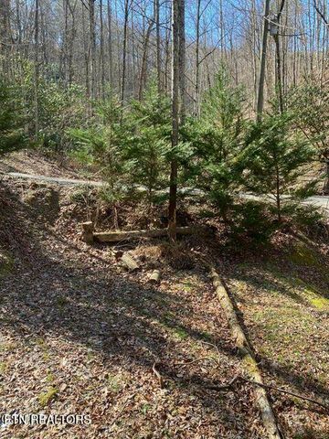 1823 Laurel Valley Way, Sevierville, TN 37862