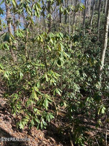 1823 Laurel Valley Way, Sevierville, TN 37862