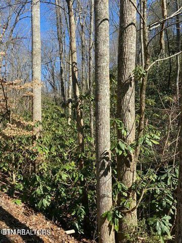 1823 Laurel Valley Way, Sevierville, TN 37862