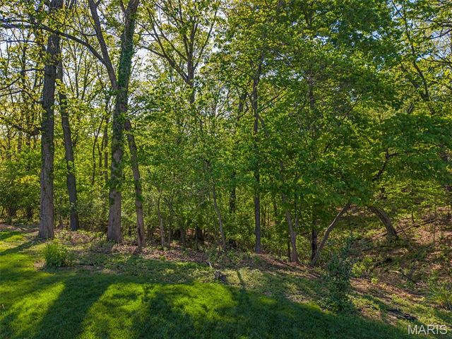 1531 Winter Chase Drive, Fenton, MO 63026