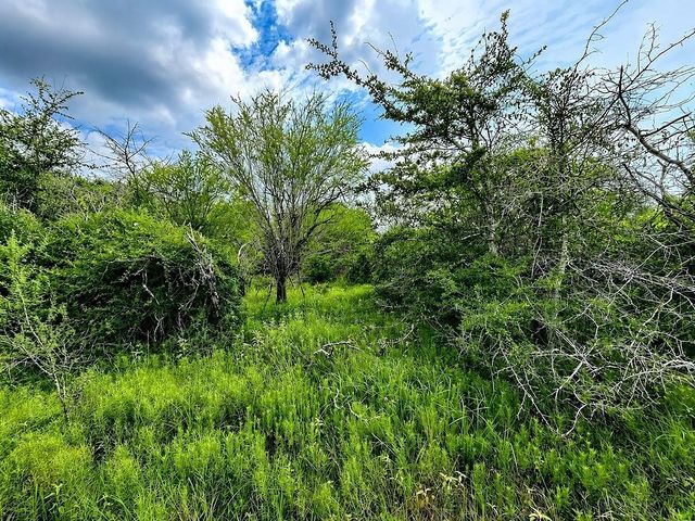 TBD Water Oak Road, Columbus, TX 78934