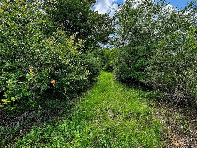 TBD Water Oak Road, Columbus, TX 78934
