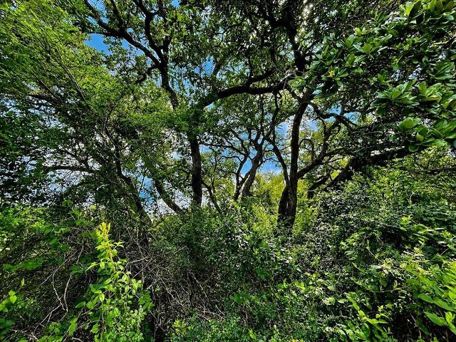 TBD Water Oak Road, Columbus, TX 78934