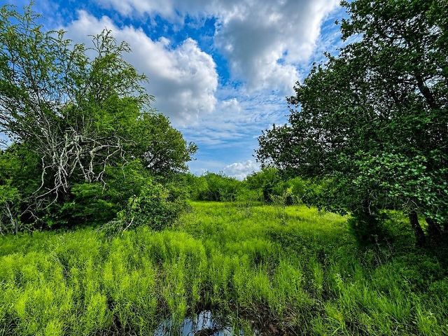 TBD Water Oak Road, Columbus, TX 78934