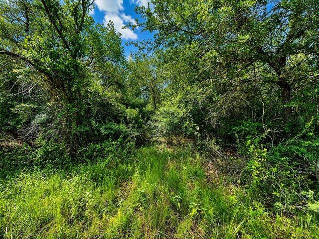 TBD Water Oak Road, Columbus, TX 78934