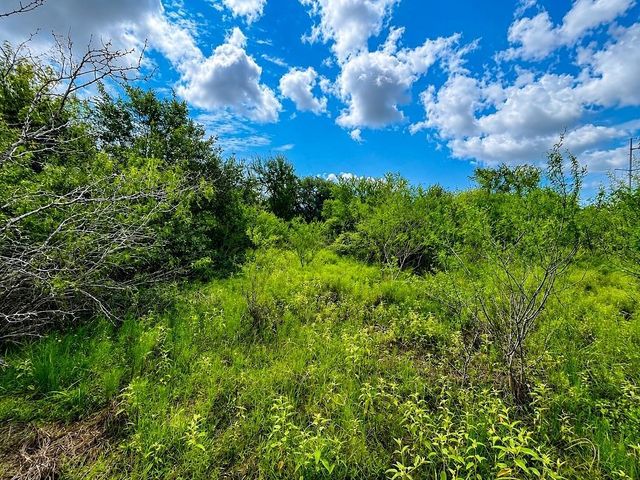 TBD Water Oak Road, Columbus, TX 78934