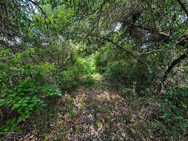 TBD Water Oak Road, Columbus, TX 78934