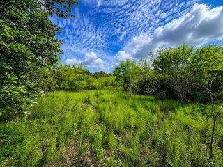 TBD Water Oak Road, Columbus, TX 78934