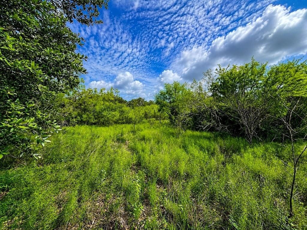TBD Water Oak Road, Columbus, TX 78934