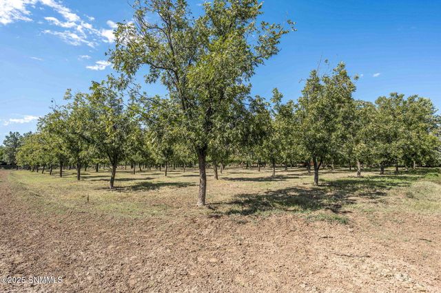 3044 Snow Road, Las Cruces, NM 88005