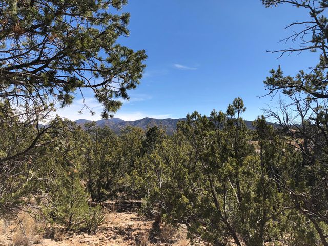 96 Kiva Place, Sandia Park, NM 87047