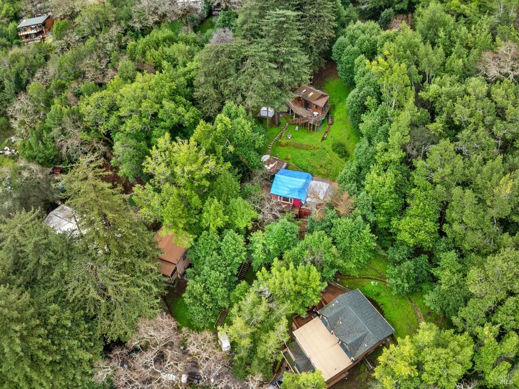 155 Forrest Ave, Fairfax, CA 94930