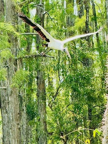 10523 Bella Vista DR, Fort Myers, FL 33913