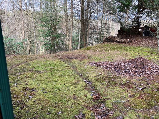 167 Lemon Drop Lane, Murphy, NC 28906