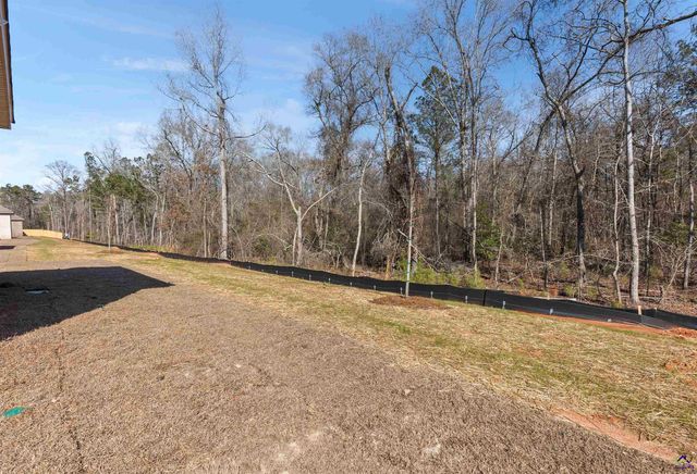 602 Bristleleaf Path, Kathleen, GA 31047