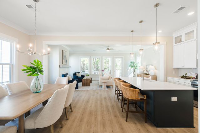 2518 Annie Aiden Lane, Charleston, SC 29414