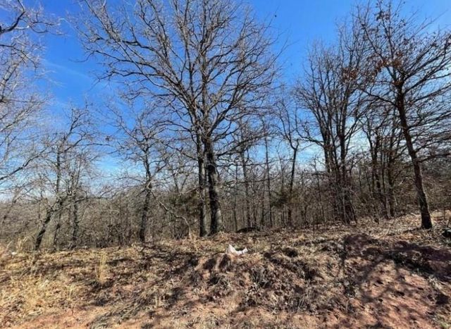 220 Jesse Street, Norman, OK 73071