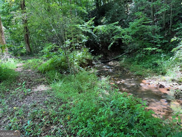 1485 Duffy Grizzle Road, Dahlonega, GA 30533