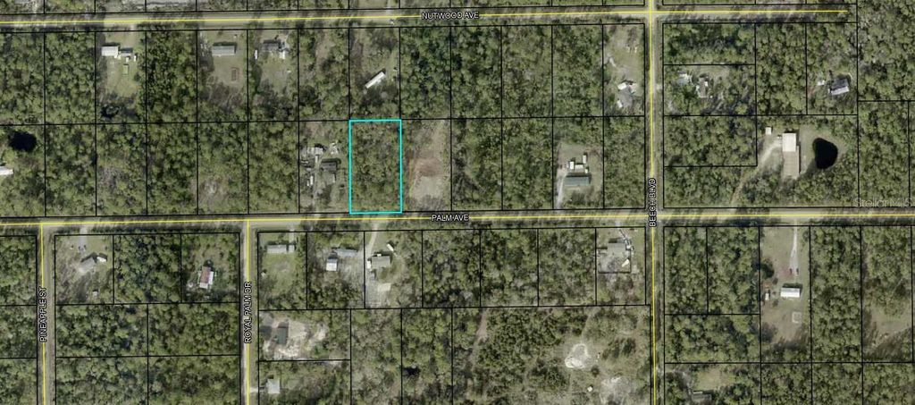 5638 PALM AVENUE, Bunnell, FL 32110