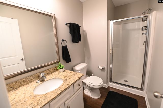 422 Glen Arven Court, Chapin, SC 29036