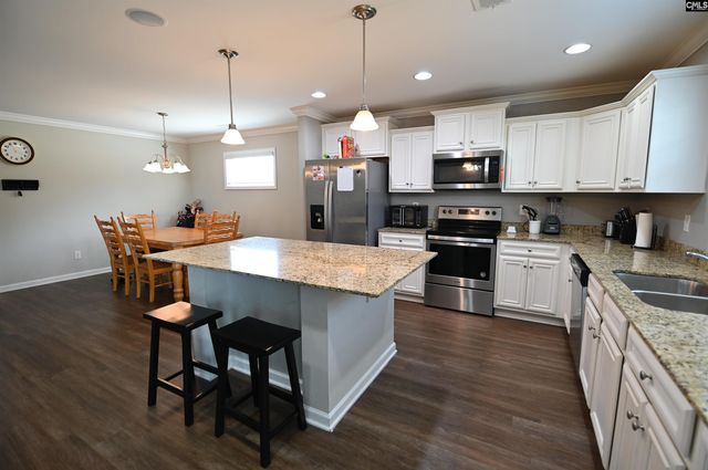 422 Glen Arven Court, Chapin, SC 29036