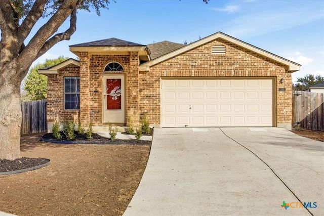 348 Ibis Falls Drive, New Braunfels, TX 78130