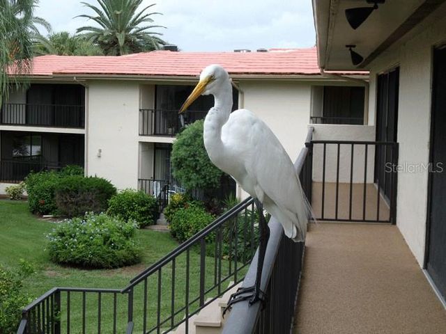 6462 WILD OAK BAY BOULEVARD 244, Bradenton, FL 34210