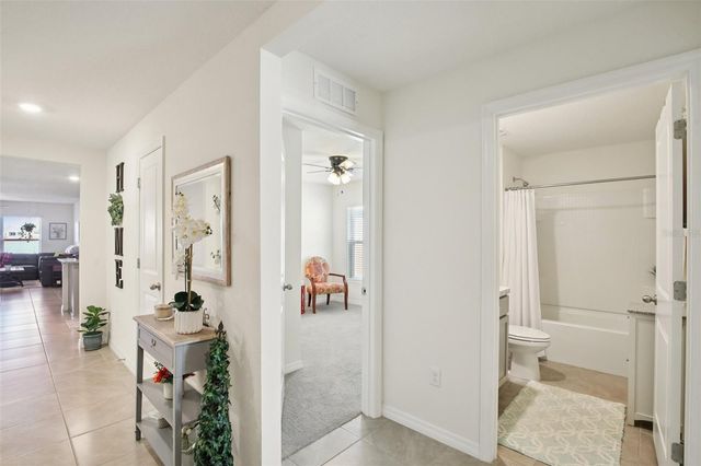 11951 DOWNY BIRCH DRIVE, Riverview, FL 33569