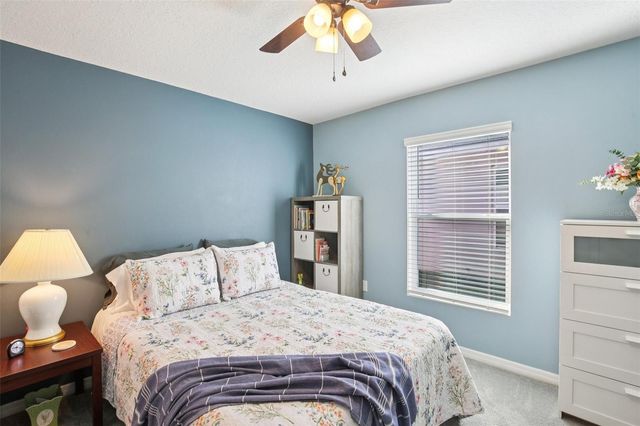 11951 DOWNY BIRCH DRIVE, Riverview, FL 33569