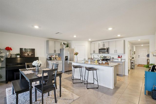 11951 DOWNY BIRCH DRIVE, Riverview, FL 33569