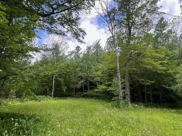 477 Mohawk Trl, Florida, MA 01343