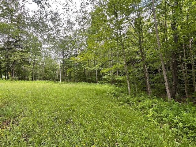 477 Mohawk Trl, Florida, MA 01343