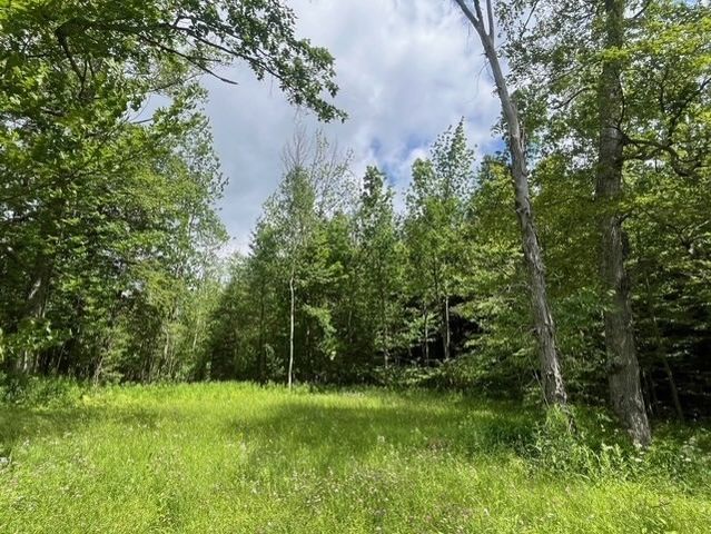 477 Mohawk Trl, Florida, MA 01343