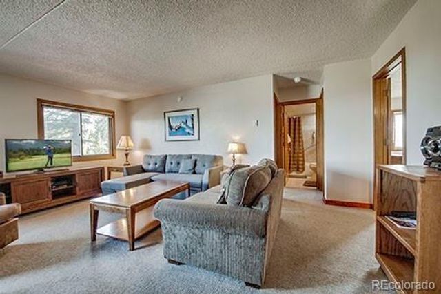 317 W La Bonte Street 107, Dillon, CO 80435