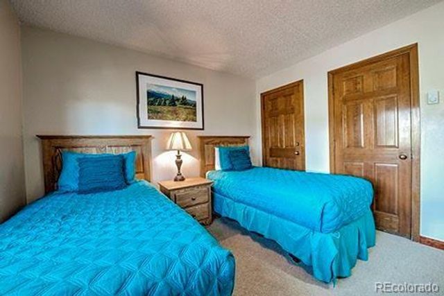 317 W La Bonte Street 107, Dillon, CO 80435