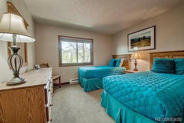 317 W La Bonte Street 107, Dillon, CO 80435