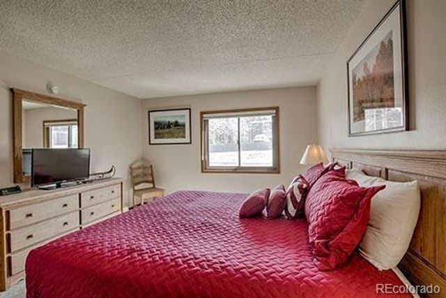 317 W La Bonte Street 107, Dillon, CO 80435
