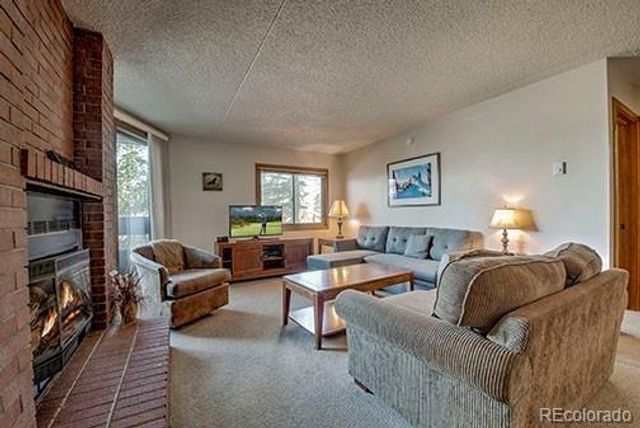 317 W La Bonte Street 107, Dillon, CO 80435