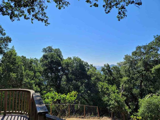 40 Hilldale Ct, Orinda, CA 94563