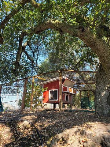 40 Hilldale Ct, Orinda, CA 94563