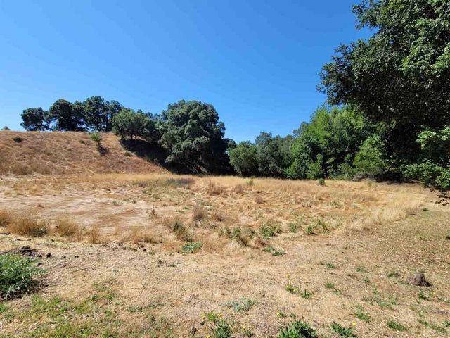 40 Hilldale Ct, Orinda, CA 94563